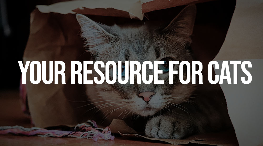 resource for cats